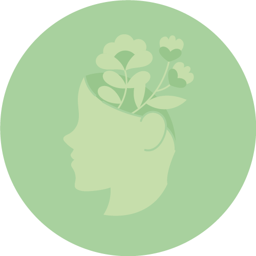 Bloom – Training & Consultancy – Let your mind bloom